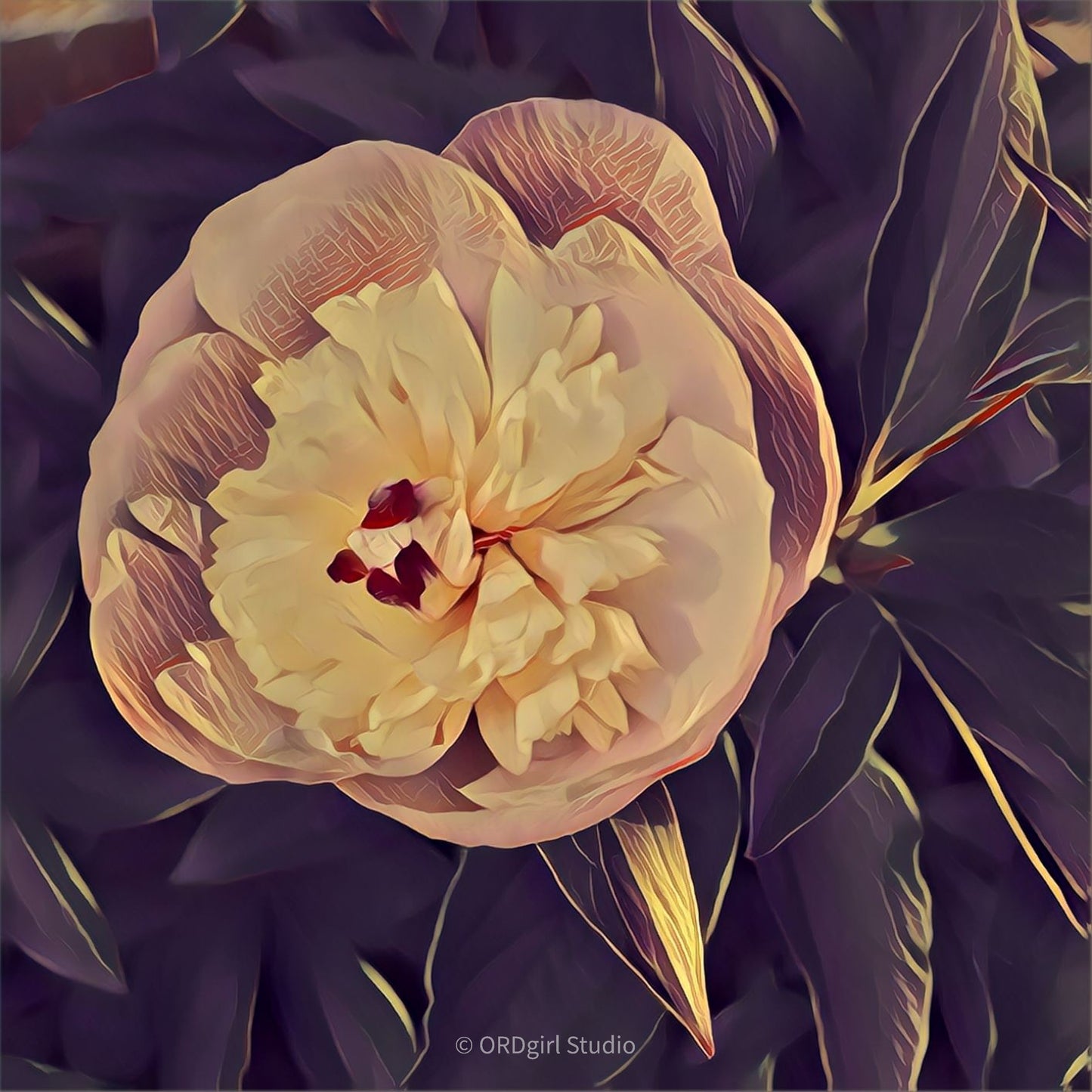 Dramatic Peony Premium Pillow