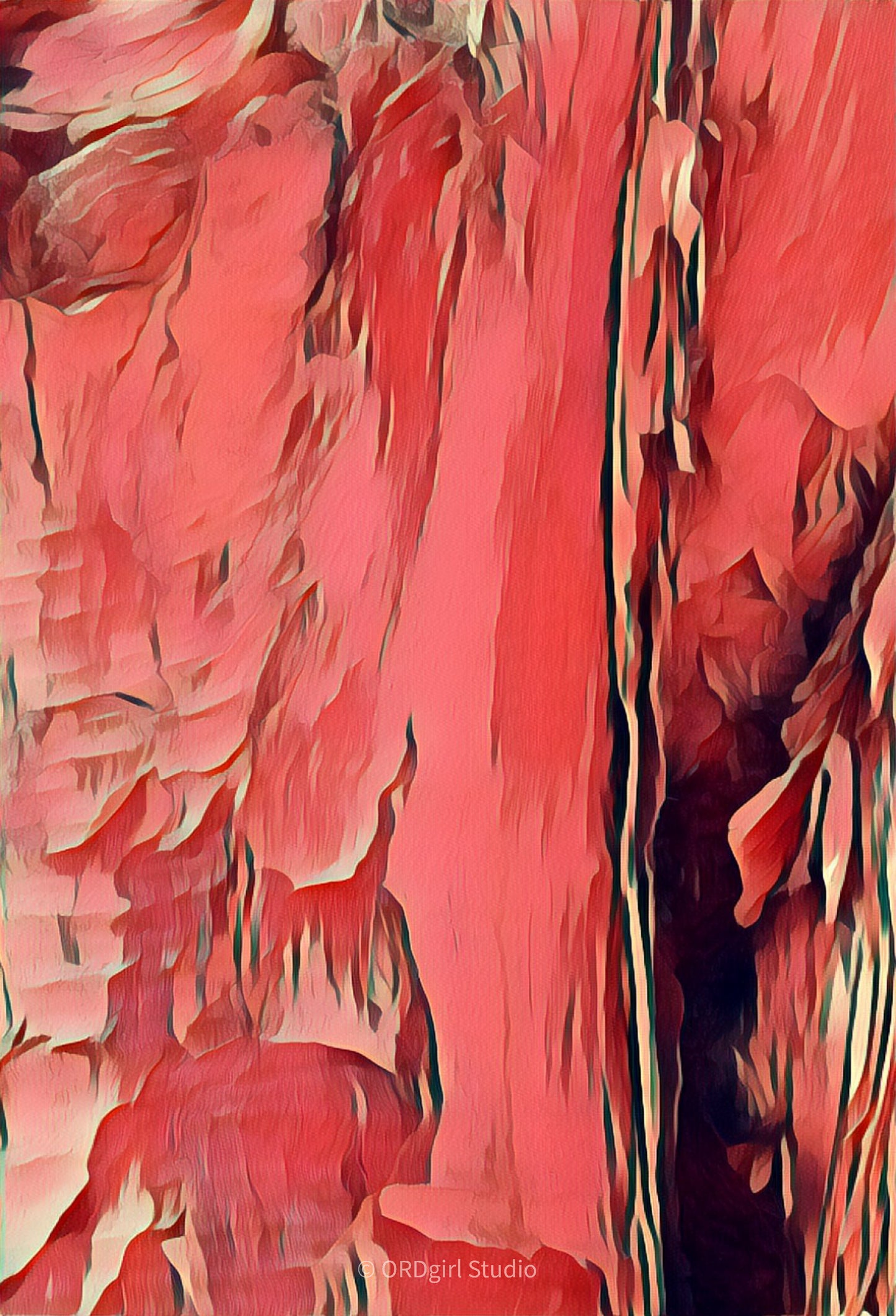 Natural Abstract in Coral - Throw Pillow